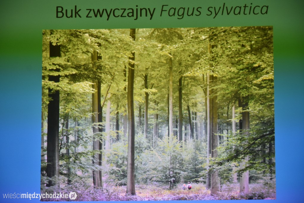 Spichlerz letnich plonów w Mniszkach
