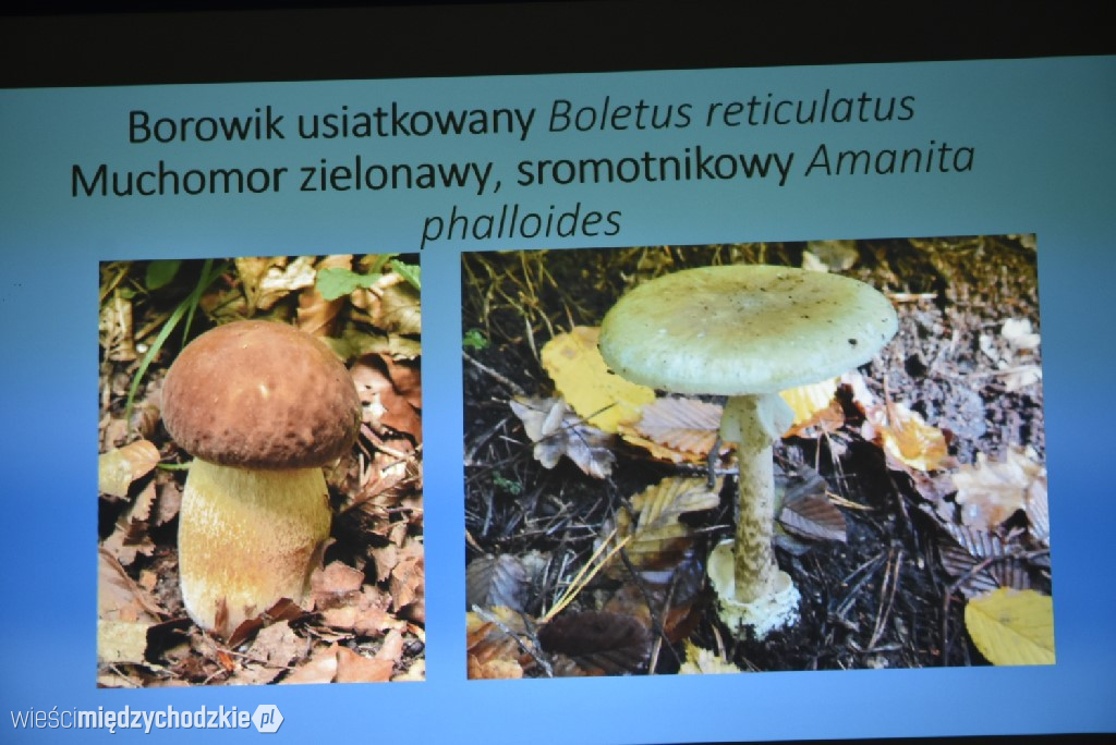 Spichlerz letnich plonów w Mniszkach