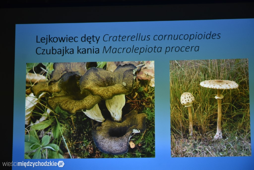 Spichlerz letnich plonów w Mniszkach
