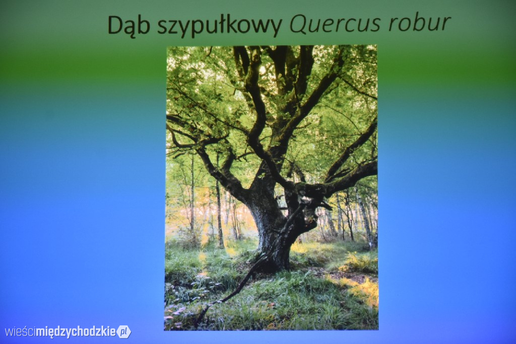 Spichlerz letnich plonów w Mniszkach