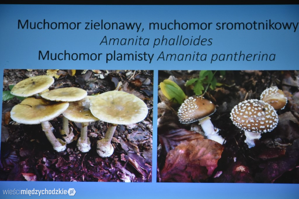 Spichlerz letnich plonów w Mniszkach