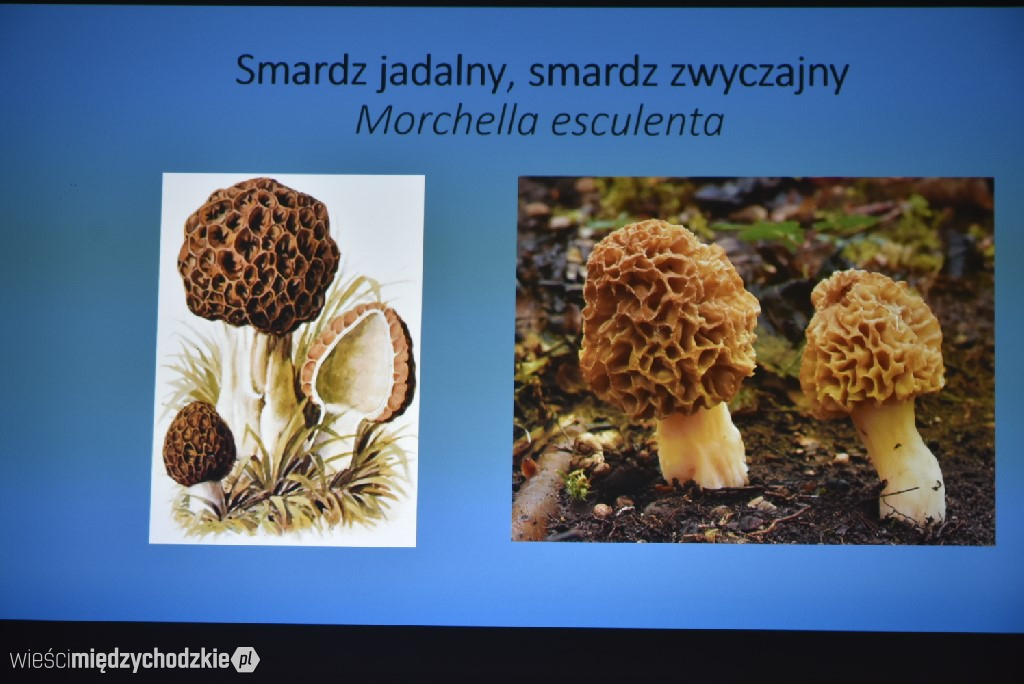 Spichlerz letnich plonów w Mniszkach