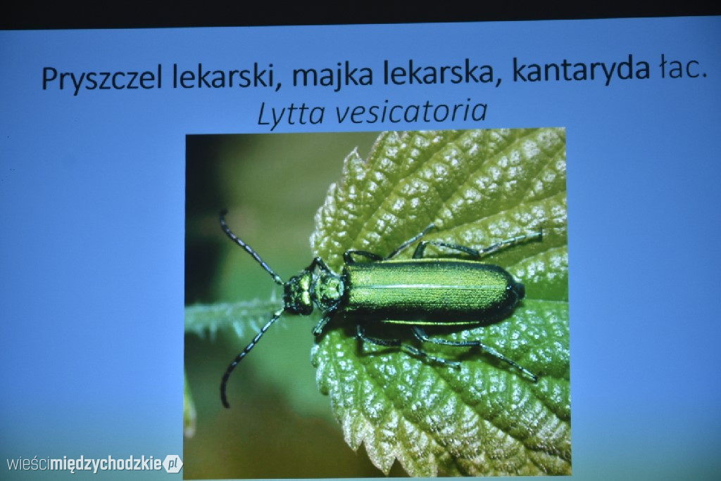 Spichlerz letnich plonów w Mniszkach