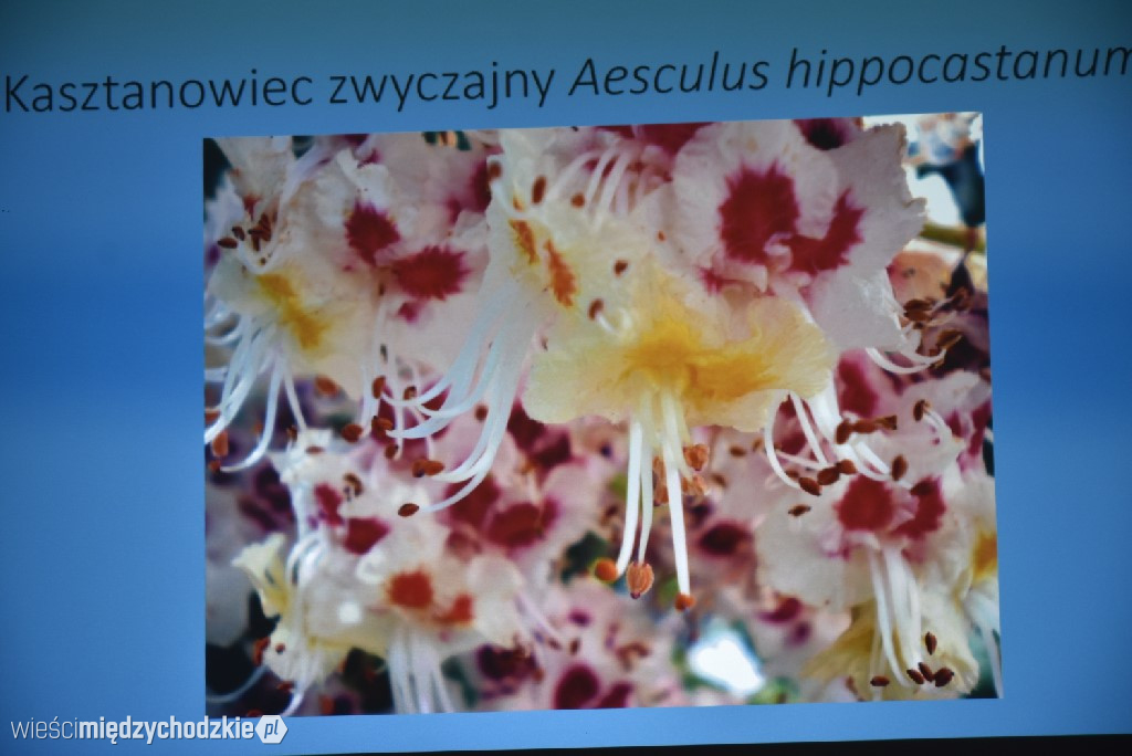 Spichlerz letnich plonów w Mniszkach