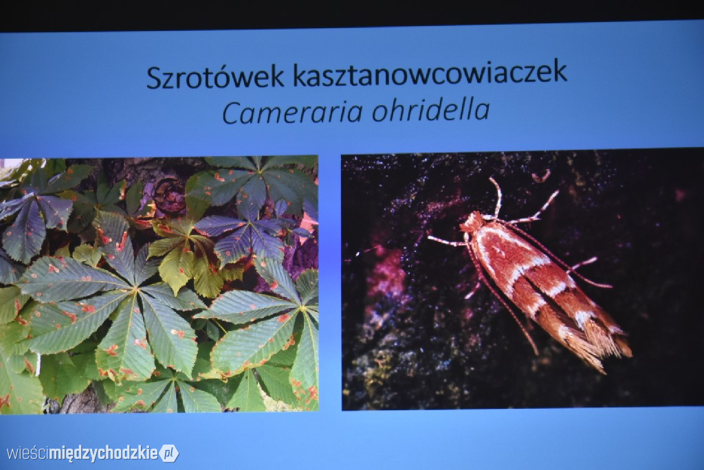 Spichlerz letnich plonów w Mniszkach