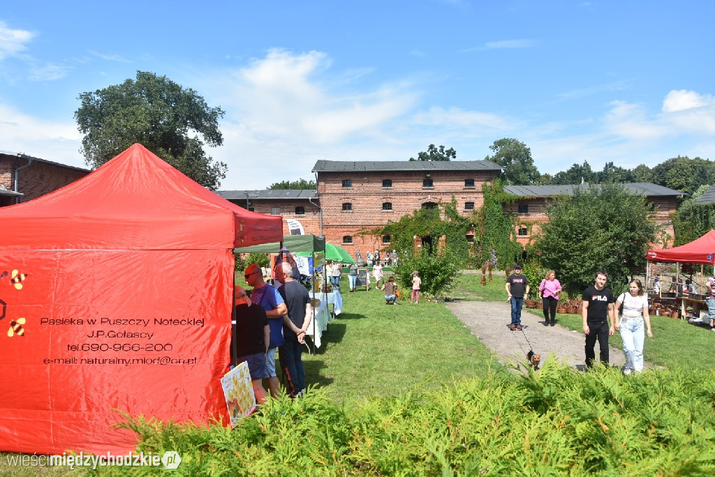 Spichlerz letnich plonów w Mniszkach