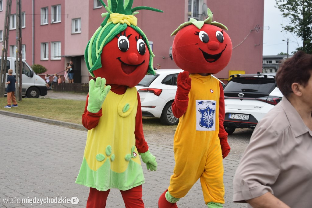 Dożynki gminne w Przytocznej