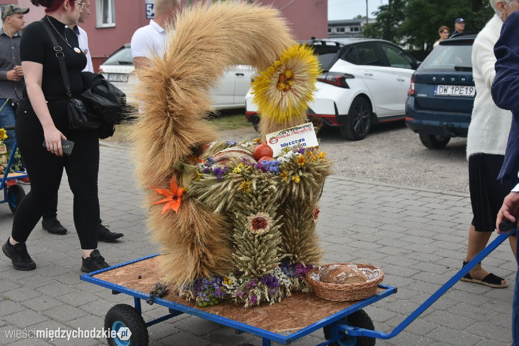 Dożynki gminne w Przytocznej