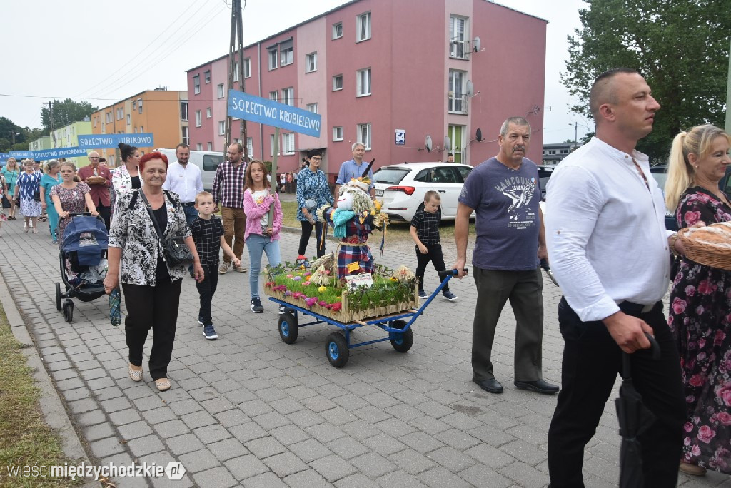 Dożynki gminne w Przytocznej