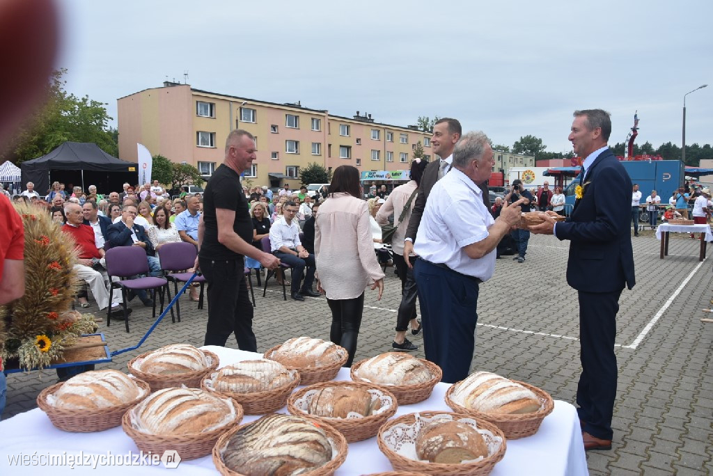 Dożynki gminne w Przytocznej