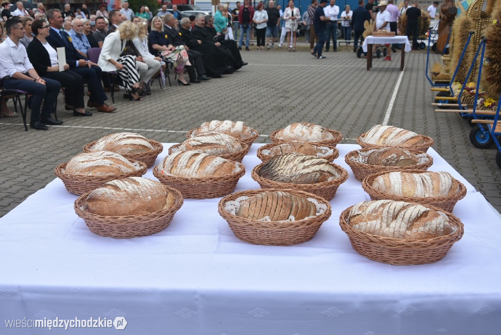 Dożynki gminne w Przytocznej