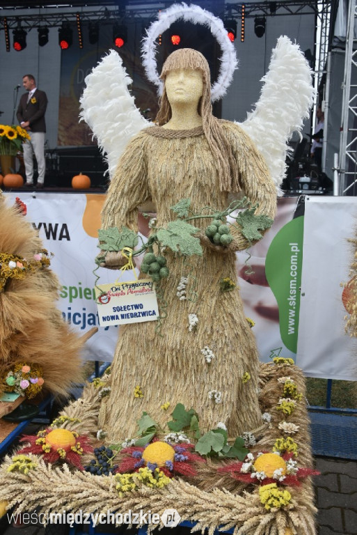 Dożynki gminne w Przytocznej