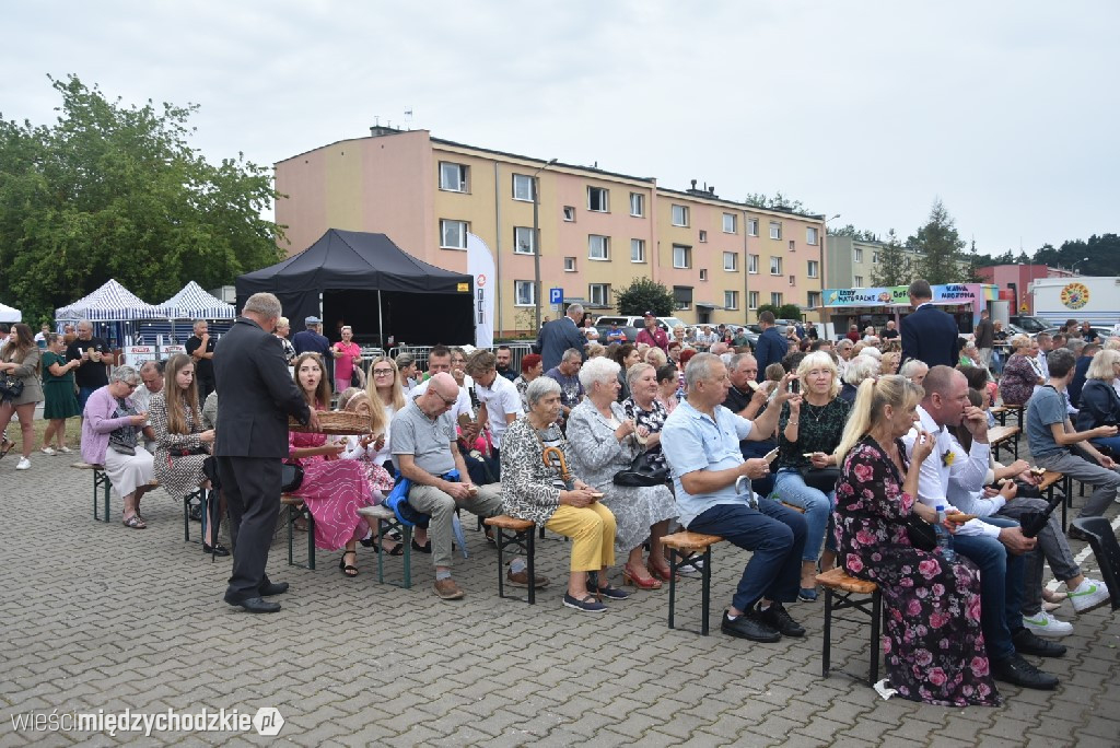Dożynki gminne w Przytocznej