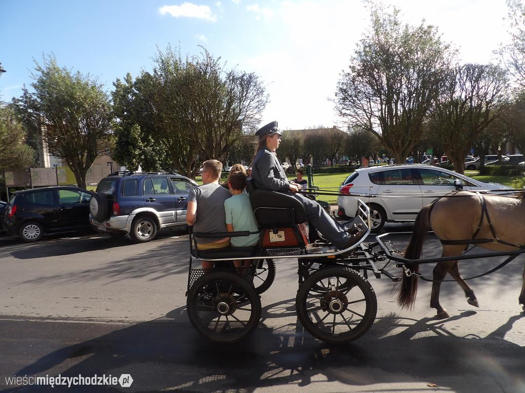 Konikowy korowód w Sierakowie