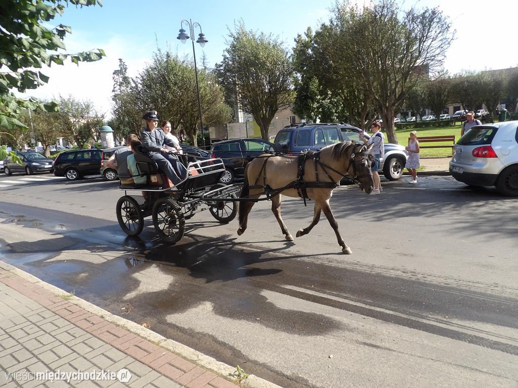 Konikowy korowód w Sierakowie