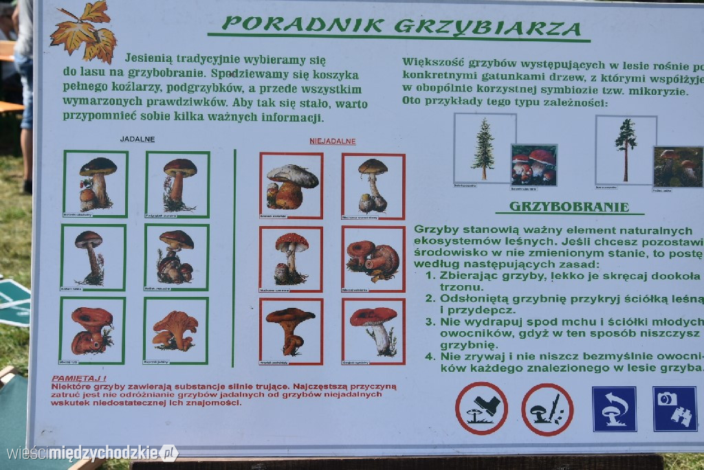 Już po raz XX odbyło się Święto Podgrzybka