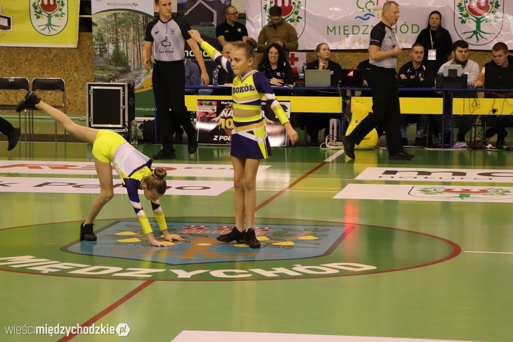 Koszykarskie derby Wielkopolski dla Sokoła
