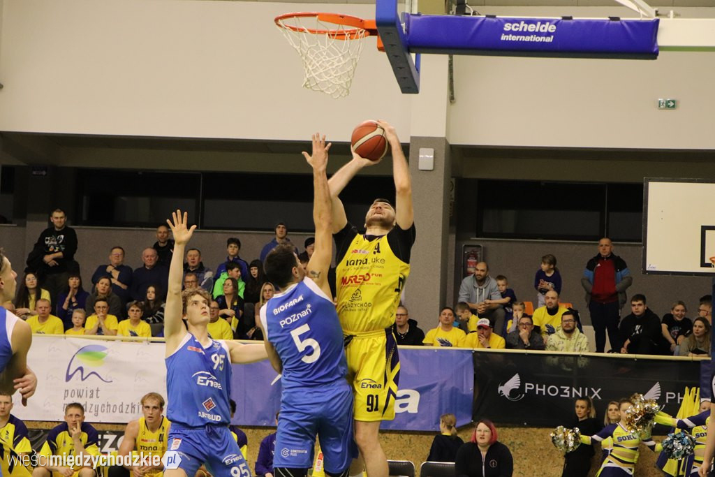 Koszykarskie derby Wielkopolski dla Sokoła