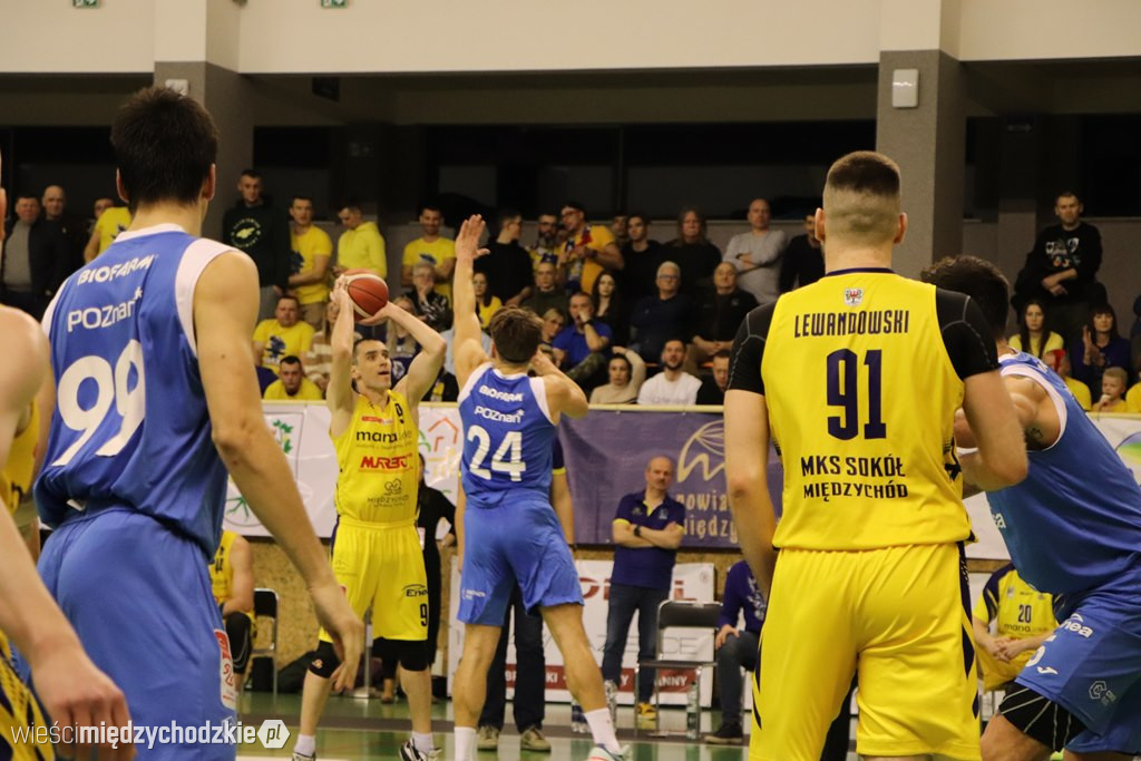 Koszykarskie derby Wielkopolski dla Sokoła