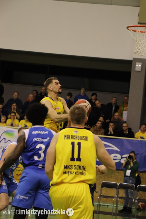 Koszykarskie derby Wielkopolski dla Sokoła