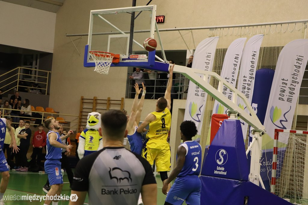 Koszykarskie derby Wielkopolski dla Sokoła