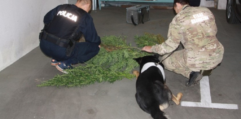 Wspólne działania policji i straży granicznej przyniosły efekt/foto:KPP Międzychód