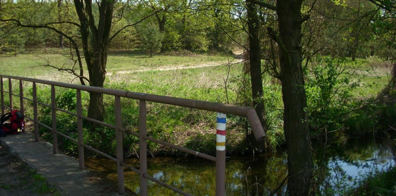 Mostek na Kamionce/foto: Adam Pieszo przez kraj