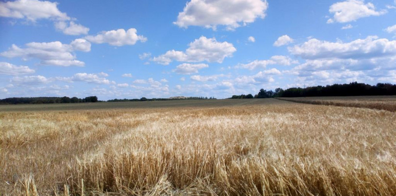 Idąc żółtym szlakiem z Zatomia Starego do Kamionny jest co podziwiać/foto: Adam Pieszo przez kraj 
