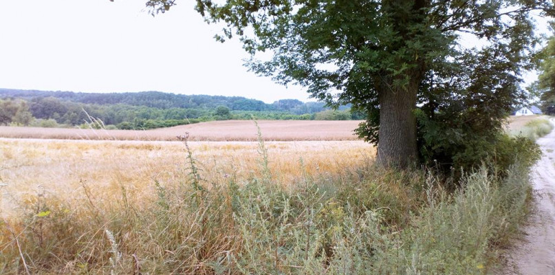 Szlak Łowyń-Prusim jest bardzo urozmaicony/foto: Adam Wojciechowski
