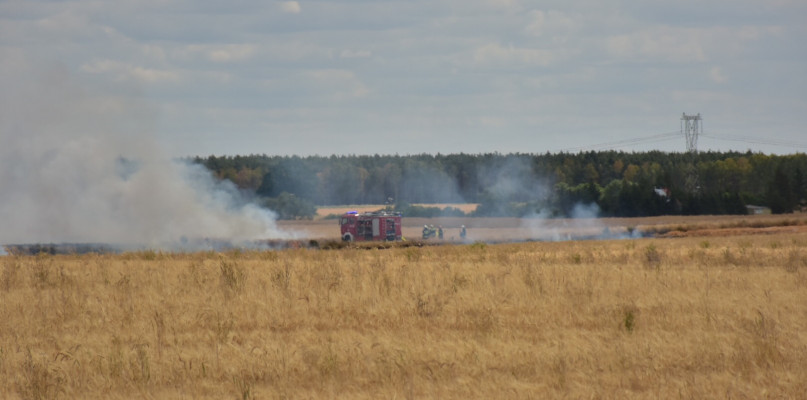 Strażacy walczą z ogniem na polu w okolicach Tuczęp/foto:Marcin Handzel