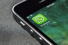 WhatsApp się zmienia. Czy aplikacja będzie płatna?-9737