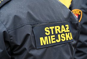 Zapuka strażnik, zapłacisz karę. Ruszyły kontrole w całej Polsce-10394
