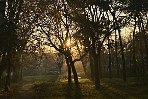 Nadchodzi najkrótszy dzień w 2025 roku. Sprawdź, kiedy przypadnie-10768