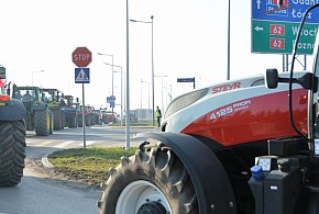 Rolnicy zapowiadają protest w całym kraju. Skala może zaskoczyć-10799