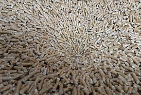 Pelletowy szok cenowy. Dlaczego u nas jest drożej niż w Niemczech?