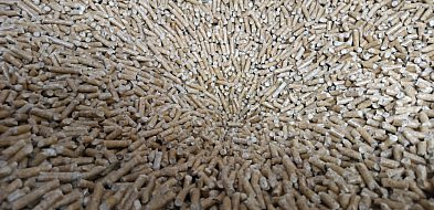 Pelletowy szok cenowy. Dlaczego u nas jest drożej niż w Niemczech?