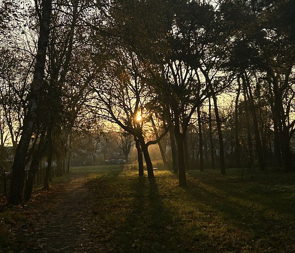 Nadchodzi najkrótszy dzień w 2025 roku. Sprawdź, kiedy przypadnie-10768
