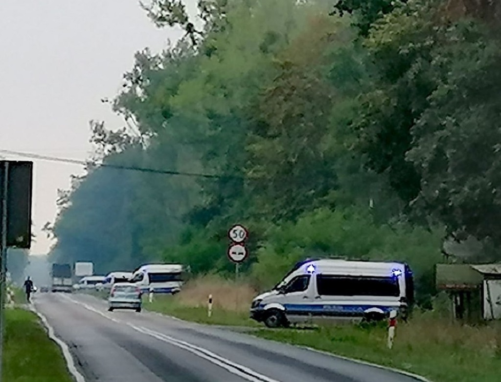 Od rana policjnci przeczesywali teren Puszczy Noteckiej/foto:Dariusz Wawrzyniak